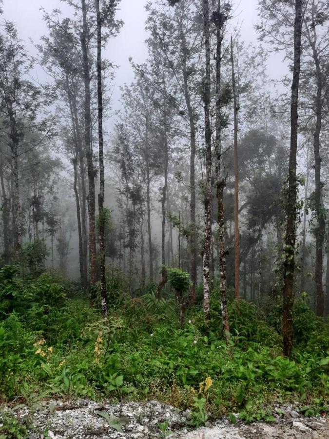 Coorg Happy Estate Stay Madikeri Zewnętrze zdjęcie